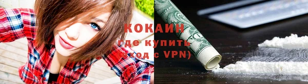 стаф Баксан