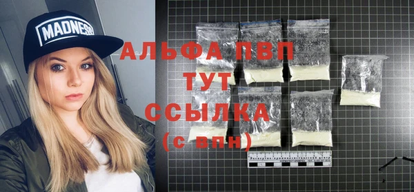 стаф Баксан