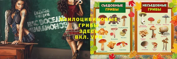 круглые Балахна