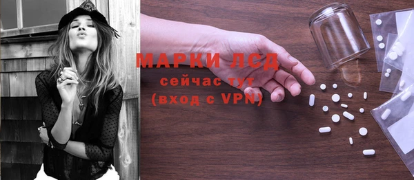 стаф Баксан