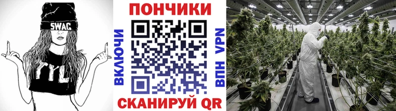blacksprut Котлас Конопля White Widow